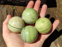 Polished African Banded Butter Jade Sphere-Balls - Sold Per Item - From Bronkhorstspruit, South Africa