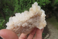 Natural Quartz Clusters x 5 From Madagascar