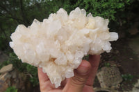 Natural Quartz Clusters x 5 From Madagascar