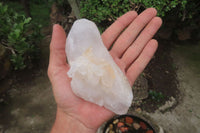 Natural Quartz Clusters x 5 From Madagascar