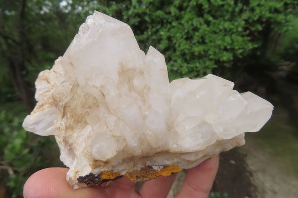 Natural Quartz Clusters x 5 From Madagascar