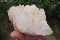 Natural Quartz Clusters x 5 From Madagascar