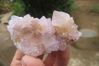 Natural Amethyst Spirit Quartz Clusters x 24 From Boekenhouthoek, South Africa