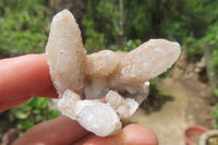 Natural Amethyst Spirit Quartz Clusters x 24 From Boekenhouthoek, South Africa