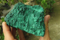 Natural Silky Malachite Specimens x 3 From Kasompe, Congo