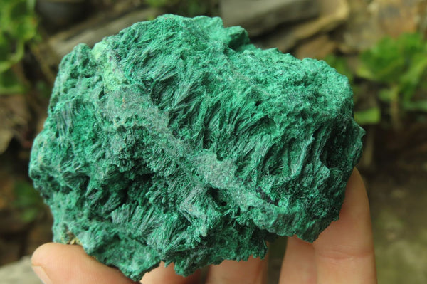 Natural Silky Malachite Specimens x 3 From Kasompe, Congo