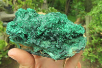 Natural Silky Malachite Specimens x 3 From Kasompe, Congo