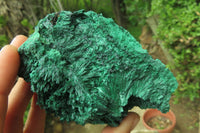 Natural Silky Malachite Specimens x 3 From Kasompe, Congo