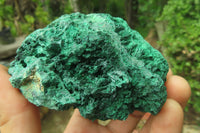 Natural Silky Malachite Specimens x 3 From Kasompe, Congo