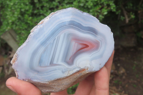 Polished On One Side Red Sashe River Agate x 4 From Zimbabwe