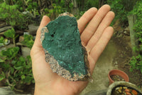 Natural Crystalline Malachite Specimens x 6 From Kasompe, Congo