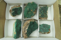 Natural Crystalline Malachite Specimens x 6 From Kasompe, Congo