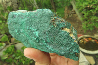 Natural Crystalline Malachite Specimens x 6 From Kasompe, Congo