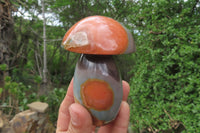 Polished Polychrome Jasper Mushrooms x 4 From Madagascar