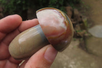 Polished Polychrome Jasper Mushrooms x 4 From Madagascar