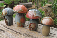 Polished Polychrome Jasper Mushrooms x 4 From Madagascar