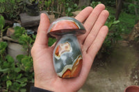 Polished Polychrome Jasper Mushrooms x 4 From Madagascar