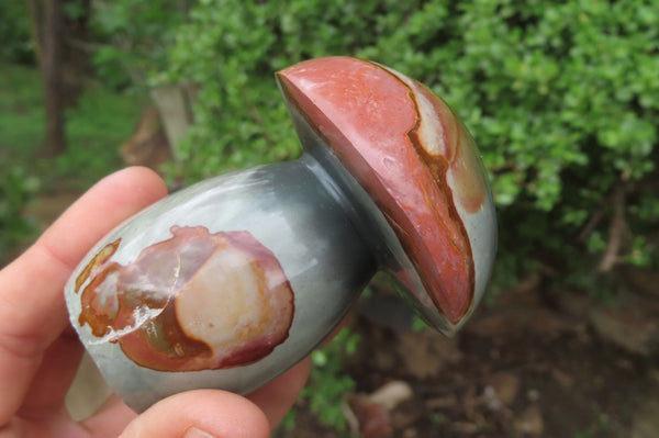 Polished Polychrome Jasper Mushrooms x 4 From Madagascar