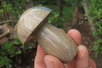 Polished Polychrome Jasper Mushrooms x 4 From Madagascar