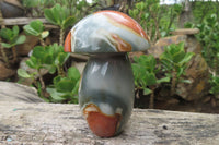 Polished Polychrome Jasper Mushrooms x 4 From Madagascar