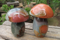 Polished Polychrome Jasper Mushrooms x 4 From Madagascar