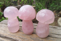 Polished Rose Quartz Mushroom Carvings x 6 From Madagascar