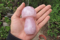 Polished Rose Quartz Mushroom Carvings x 6 From Madagascar