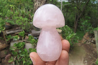 Polished Rose Quartz Mushroom Carvings x 6 From Madagascar