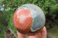 Polished Polychrome Jasper Spheres x 2 From Madagascar