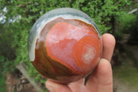 Polished Polychrome Jasper Spheres x 2 From Madagascar