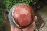 Polished Polychrome Jasper Spheres x 2 From Madagascar