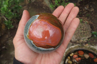 Polished Polychrome Jasper Spheres x 2 From Madagascar