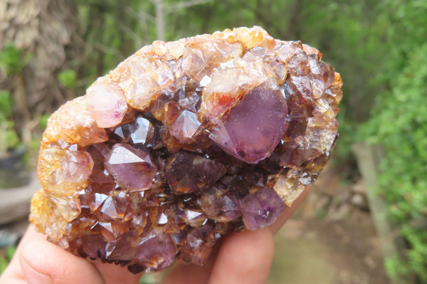 Natural Amethystos Amethyst Plates x 12 From Kwaggafontein, South Africa