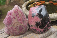 Polished On One Side Rhodonite x 5 From Madagascar