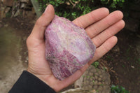 Polished On One Side Rhodonite x 5 From Madagascar