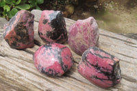 Polished On One Side Rhodonite x 5 From Madagascar