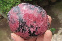 Polished On One Side Rhodonite x 5 From Madagascar