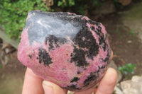 Polished On One Side Rhodonite x 5 From Madagascar