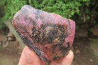 Polished On One Side Rhodonite x 5 From Madagascar