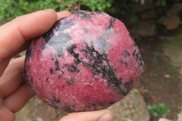 Polished On One Side Rhodonite x 5 From Madagascar