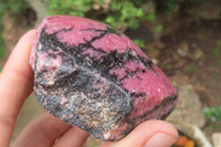 Polished On One Side Rhodonite x 5 From Madagascar