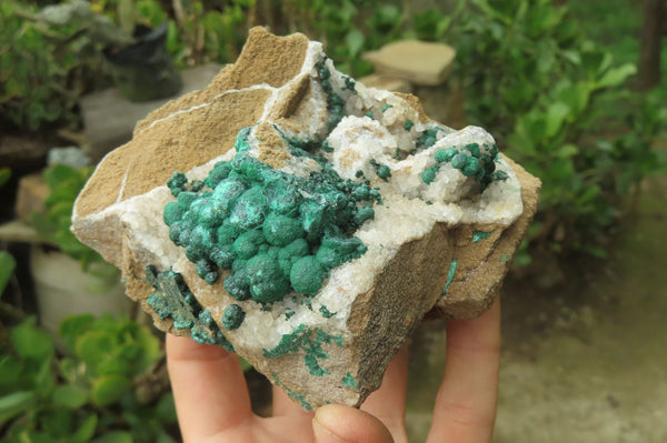 Natural Ball Malachite On Quartz Matrix Specimens x 2 From Kambove, Congo