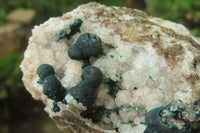 Natural Ball Malachite On Quartz Matrix Specimens x 2 From Kambove, Congo