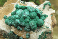 Natural Ball Malachite On Quartz Matrix Specimens x 2 From Kambove, Congo