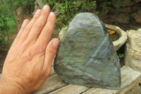 Polished Labradorite Standing Free Form x 1 From Tulear, Madagascar