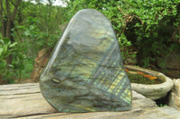 Polished Labradorite Standing Free Form x 1 From Tulear, Madagascar