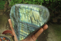 Polished Labradorite Standing Free Form x 1 From Tulear, Madagascar