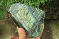 Polished Labradorite Standing Free Form x 1 From Tulear, Madagascar