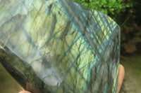 Polished Labradorite Standing Free Form x 1 From Tulear, Madagascar