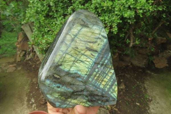 Polished Labradorite Standing Free Form x 1 From Tulear, Madagascar